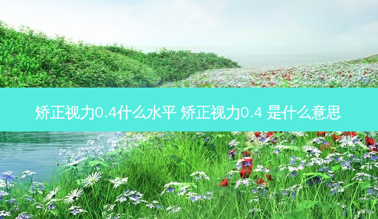 矫正视力0.4什么水平 矫正视力0.4 是什么意思-第1张图片-容颜志 - 专注变美资讯 矫正视力0.4什么水平 矫正视力0.4 是什么意思-第1张图片-容颜志 - 专注变美资讯