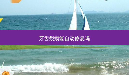 牙齿裂痕能自动修复吗-第1张图片-容颜志 - 专注变美资讯 牙齿裂痕能自动修复吗-第1张图片-容颜志 - 专注变美资讯