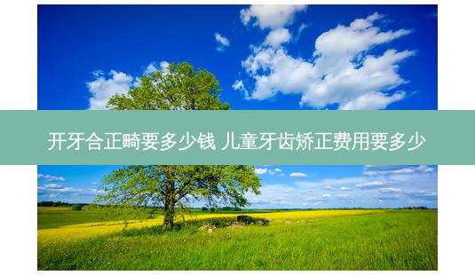 开牙合正畸要多少钱 儿童牙齿矫正费用要多少-第1张图片-容颜志 - 专注变美资讯 开牙合正畸要多少钱 儿童牙齿矫正费用要多少-第1张图片-容颜志 - 专注变美资讯