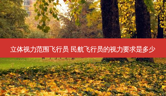 立体视力范围飞行员 民航飞行员的视力要求是多少-第1张图片-容颜志 - 专注变美资讯 立体视力范围飞行员 民航飞行员的视力要求是多少-第1张图片-容颜志 - 专注变美资讯