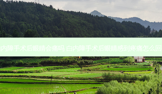 白内障手术后眼睛会痛吗 白内障手术后眼睛感到疼痛怎么回事-第1张图片-容颜志 - 专注变美资讯 白内障手术后眼睛会痛吗 白内障手术后眼睛感到疼痛怎么回事-第1张图片-容颜志 - 专注变美资讯