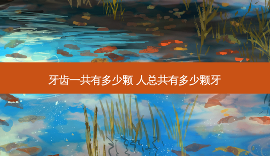 牙齿一共有多少颗 人总共有多少颗牙-第1张图片-容颜志 - 专注变美资讯 牙齿一共有多少颗 人总共有多少颗牙-第1张图片-容颜志 - 专注变美资讯