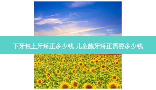 下牙包上牙矫正多少钱 儿童龅牙矫正需要多少钱-第1张图片-容颜志 - 专注变美资讯 下牙包上牙矫正多少钱 儿童龅牙矫正需要多少钱-第1张图片-容颜志 - 专注变美资讯