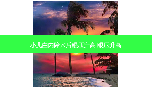 小儿白内障术后眼压升高 眼压升高-第1张图片-容颜志 - 专注变美资讯 小儿白内障术后眼压升高 眼压升高-第1张图片-容颜志 - 专注变美资讯