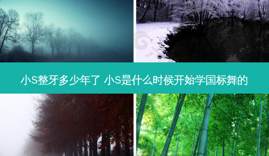 小S整牙多少年了 小S是什么时候开始学国标舞的-第1张图片-容颜志 - 专注变美资讯 小S整牙多少年了 小S是什么时候开始学国标舞的-第1张图片-容颜志 - 专注变美资讯