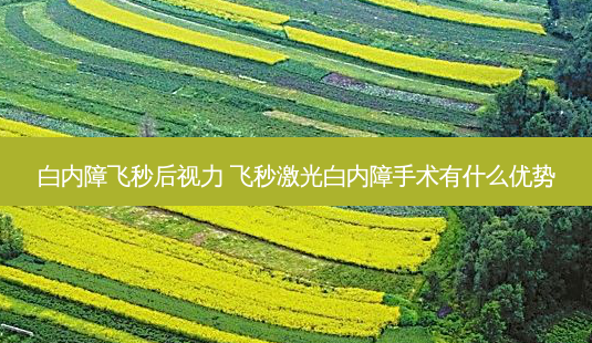 白内障飞秒后视力 飞秒激光白内障手术有什么优势-第1张图片-容颜志 - 专注变美资讯 白内障飞秒后视力 飞秒激光白内障手术有什么优势-第1张图片-容颜志 - 专注变美资讯