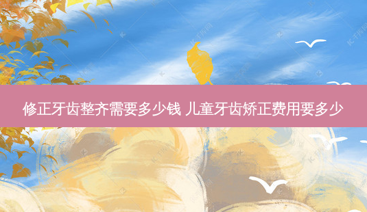 修正牙齿整齐需要多少钱 儿童牙齿矫正费用要多少-第1张图片-容颜志 - 专注变美资讯 修正牙齿整齐需要多少钱 儿童牙齿矫正费用要多少-第1张图片-容颜志 - 专注变美资讯
