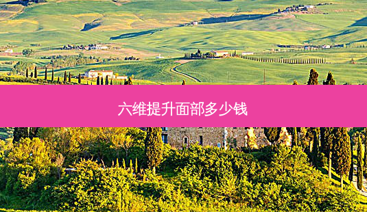 六维提升面部多少钱-第1张图片-容颜志 - 专注变美资讯 六维提升面部多少钱-第1张图片-容颜志 - 专注变美资讯