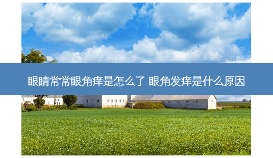 眼睛常常眼角痒是怎么了 眼角发痒是什么原因-第1张图片-容颜志 - 专注变美资讯 眼睛常常眼角痒是怎么了 眼角发痒是什么原因-第1张图片-容颜志 - 专注变美资讯