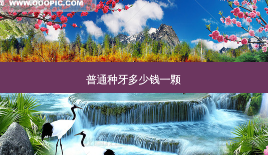 普通种牙多少钱一颗-第1张图片-容颜志 - 专注变美资讯 普通种牙多少钱一颗-第1张图片-容颜志 - 专注变美资讯