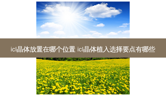 icl晶体放置在哪个位置 icl晶体植入选择要点有哪些-第1张图片-容颜志 - 专注变美资讯 icl晶体放置在哪个位置 icl晶体植入选择要点有哪些-第1张图片-容颜志 - 专注变美资讯