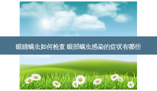 眼睛螨虫如何检查 眼部螨虫感染的症状有哪些-第1张图片-容颜志 - 专注变美资讯 眼睛螨虫如何检查 眼部螨虫感染的症状有哪些-第1张图片-容颜志 - 专注变美资讯
