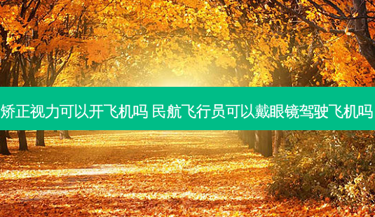 矫正视力可以开飞机吗 民航飞行员可以戴眼镜驾驶飞机吗-第1张图片-容颜志 - 专注变美资讯 矫正视力可以开飞机吗 民航飞行员可以戴眼镜驾驶飞机吗-第1张图片-容颜志 - 专注变美资讯