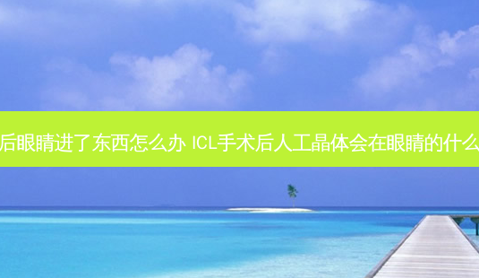 icl术后眼睛进了东西怎么办 ICL手术后人工晶体会在眼睛的什么地方-第1张图片-容颜志 - 专注变美资讯 icl术后眼睛进了东西怎么办 ICL手术后人工晶体会在眼睛的什么地方-第1张图片-容颜志 - 专注变美资讯