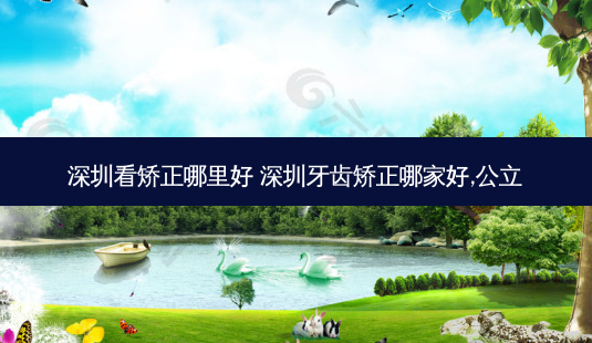 深圳看矫正哪里好 深圳牙齿矫正哪家好,公立-第1张图片-容颜志 - 专注变美资讯 深圳看矫正哪里好 深圳牙齿矫正哪家好,公立-第1张图片-容颜志 - 专注变美资讯