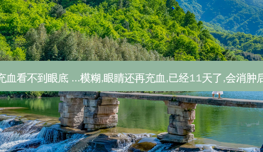 外伤眼睛充血看不到眼底 ...模糊,眼睛还再充血,已经11天了,会消肿后看不到吗-第1张图片-容颜志 - 专注变美资讯 外伤眼睛充血看不到眼底 ...模糊,眼睛还再充血,已经11天了,会消肿后看不到吗-第1张图片-容颜志 - 专注变美资讯