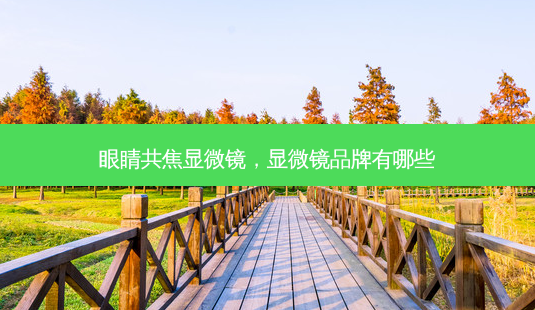 眼睛共焦显微镜,显微镜品牌有哪些-第1张图片-容颜志 - 专注变美资讯 眼睛共焦显微镜,显微镜品牌有哪些-第1张图片-容颜志 - 专注变美资讯