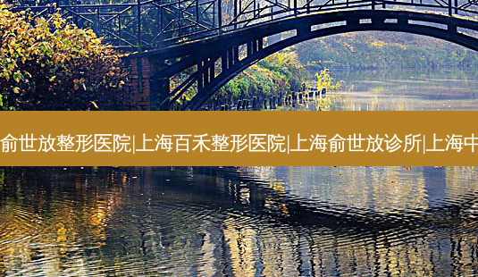 上海超声炮整形医院排名,上海俞世放整形医院|上海百禾整形医院|上海俞世放诊所|上海中医药大学附属曙光医院整形科-第1张图片-容颜志 - 专注变美资讯 上海超声炮整形医院排名,上海俞世放整形医院|上海百禾整形医院|上海俞世放诊所|上海中医药大学附属曙光医院整形科-第1张图片-容颜志 - 专注变美资讯