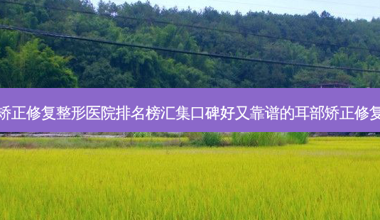 无锡耳部矫正修复整形医院排名榜汇集口碑好又靠谱的耳部矫正修复整形医院-第1张图片-容颜志 - 专注变美资讯 无锡耳部矫正修复整形医院排名榜汇集口碑好又靠谱的耳部矫正修复整形医院-第1张图片-容颜志 - 专注变美资讯