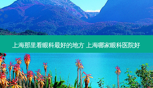 上海那里看眼科好的地方 上海哪家眼科医院好-第1张图片-容颜志 - 专注变美资讯 上海那里看眼科好的地方 上海哪家眼科医院好-第1张图片-容颜志 - 专注变美资讯