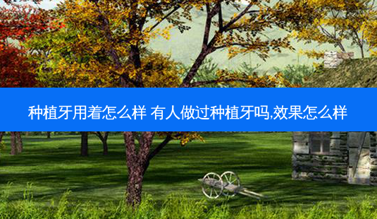 种植牙用着怎么样 有人做过种植牙吗,效果怎么样-第1张图片-容颜志 - 专注变美资讯 种植牙用着怎么样 有人做过种植牙吗,效果怎么样-第1张图片-容颜志 - 专注变美资讯