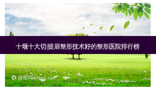 十堰十大切|提眉整形技术好的整形医院排行榜-第1张图片-容颜志 - 专注变美资讯 十堰十大切|提眉整形技术好的整形医院排行榜-第1张图片-容颜志 - 专注变美资讯