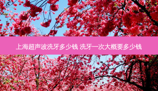上海超声波洗牙多少钱 洗牙一次大概要多少钱-第1张图片-容颜志 - 专注变美资讯 上海超声波洗牙多少钱 洗牙一次大概要多少钱-第1张图片-容颜志 - 专注变美资讯