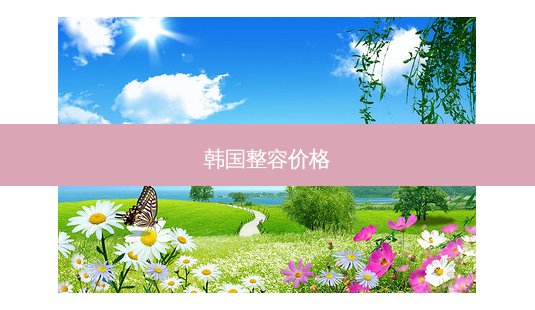 韩国整容价格-第1张图片-容颜志 - 专注变美资讯 韩国整容价格-第1张图片-容颜志 - 专注变美资讯