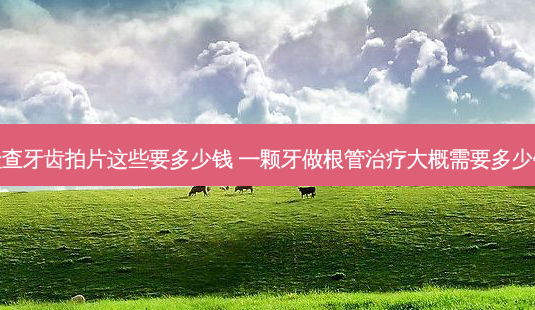 检查牙齿拍片这些要多少钱 一颗牙做根管大概需要多少钱-第1张图片-容颜志 - 专注变美资讯 检查牙齿拍片这些要多少钱 一颗牙做根管大概需要多少钱-第1张图片-容颜志 - 专注变美资讯