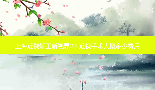 上海近视矫正新视界24 近视手术大概多少费用-第1张图片-容颜志 - 专注变美资讯 上海近视矫正新视界24 近视手术大概多少费用-第1张图片-容颜志 - 专注变美资讯