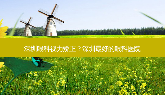 深圳眼科视力矫正?深圳好的眼科医院-第1张图片-容颜志 - 专注变美资讯 深圳眼科视力矫正?深圳好的眼科医院-第1张图片-容颜志 - 专注变美资讯