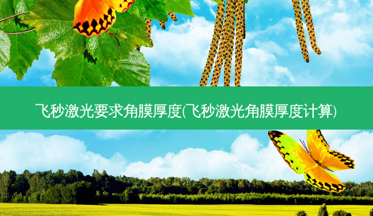 飞秒激光要求角膜厚度(飞秒激光角膜厚度计算)-第1张图片-容颜志 - 专注变美资讯 飞秒激光要求角膜厚度(飞秒激光角膜厚度计算)-第1张图片-容颜志 - 专注变美资讯