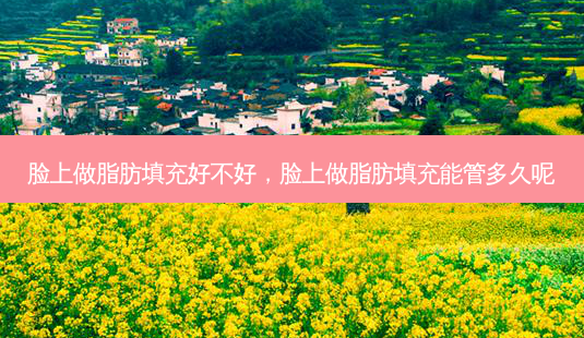 脸上做脂肪填充好不好,脸上做脂肪填充能管多久呢-第1张图片-容颜志 - 专注变美资讯 脸上做脂肪填充好不好,脸上做脂肪填充能管多久呢-第1张图片-容颜志 - 专注变美资讯