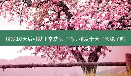 植发10天后可以正常洗头了吗,植发十天了长稳了吗-第1张图片-容颜志 - 专注变美资讯 植发10天后可以正常洗头了吗,植发十天了长稳了吗-第1张图片-容颜志 - 专注变美资讯