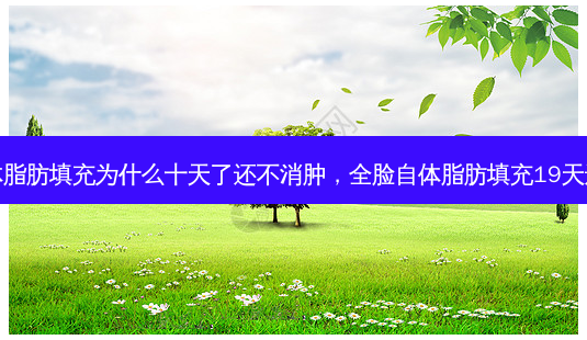 全脸自体脂肪填充为什么十天了还不消肿,全脸自体脂肪填充19天还有点肿-第1张图片-容颜志 - 专注变美资讯 全脸自体脂肪填充为什么十天了还不消肿,全脸自体脂肪填充19天还有点肿-第1张图片-容颜志 - 专注变美资讯