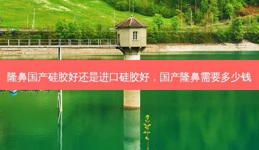 隆鼻国产硅胶好还是进口硅胶好,国产隆鼻需要多少钱-第1张图片-容颜志 - 专注变美资讯 隆鼻国产硅胶好还是进口硅胶好,国产隆鼻需要多少钱-第1张图片-容颜志 - 专注变美资讯