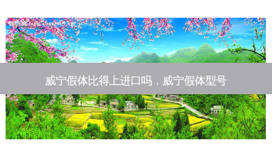 威宁假体比得上进口吗,威宁假体型号-第1张图片-容颜志 - 专注变美资讯 威宁假体比得上进口吗,威宁假体型号-第1张图片-容颜志 - 专注变美资讯
