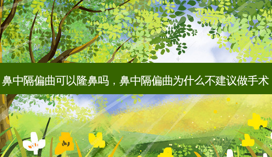 鼻中隔偏曲可以隆鼻吗,鼻中隔偏曲为什么不建议做手术-第1张图片-容颜志 - 专注变美资讯 鼻中隔偏曲可以隆鼻吗,鼻中隔偏曲为什么不建议做手术-第1张图片-容颜志 - 专注变美资讯