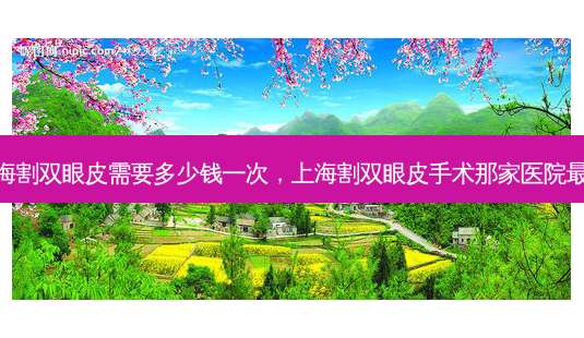 上海割双眼皮需要多少钱一次,上海割双眼皮手术那家医院好-第1张图片-容颜志 - 专注变美资讯 上海割双眼皮需要多少钱一次,上海割双眼皮手术那家医院好-第1张图片-容颜志 - 专注变美资讯