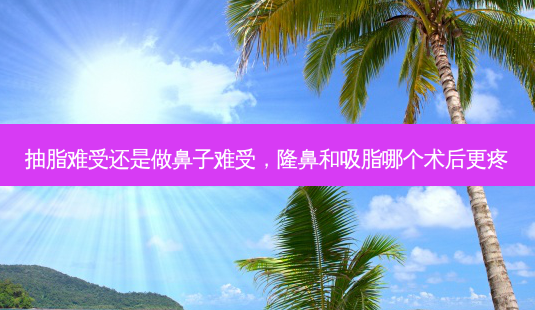 抽脂难受还是做鼻子难受,隆鼻和吸脂哪个术后更疼-第1张图片-容颜志 - 专注变美资讯 抽脂难受还是做鼻子难受,隆鼻和吸脂哪个术后更疼-第1张图片-容颜志 - 专注变美资讯