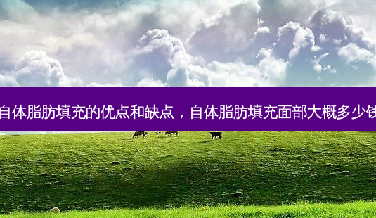 自体脂肪填充的优点和缺点,自体脂肪填充面部大概多少钱-第1张图片-容颜志 - 专注变美资讯 自体脂肪填充的优点和缺点,自体脂肪填充面部大概多少钱-第1张图片-容颜志 - 专注变美资讯
