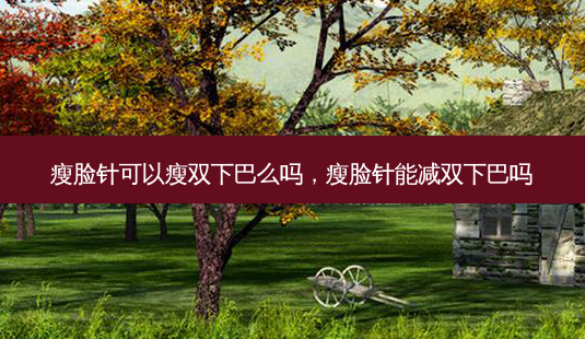 瘦脸针可以瘦双下巴么吗,瘦脸针能减双下巴吗-第1张图片-容颜志 - 专注变美资讯 瘦脸针可以瘦双下巴么吗,瘦脸针能减双下巴吗-第1张图片-容颜志 - 专注变美资讯
