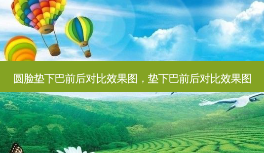 圆脸垫下巴前后对比效果图,垫下巴前后对比效果图-第1张图片-容颜志 - 专注变美资讯 圆脸垫下巴前后对比效果图,垫下巴前后对比效果图-第1张图片-容颜志 - 专注变美资讯