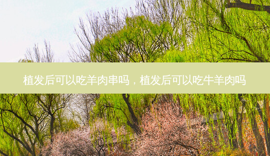 植发后可以吃羊肉串吗,植发后可以吃牛羊肉吗-第1张图片-容颜志 - 专注变美资讯 植发后可以吃羊肉串吗,植发后可以吃牛羊肉吗-第1张图片-容颜志 - 专注变美资讯