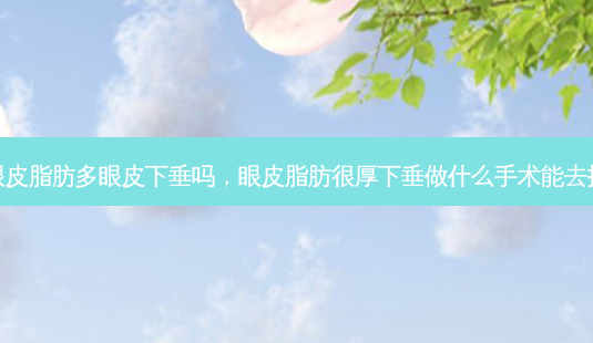 眼皮脂肪多眼皮下垂吗,眼皮脂肪很厚下垂做什么手术能去掉-第1张图片-容颜志 - 专注变美资讯 眼皮脂肪多眼皮下垂吗,眼皮脂肪很厚下垂做什么手术能去掉-第1张图片-容颜志 - 专注变美资讯