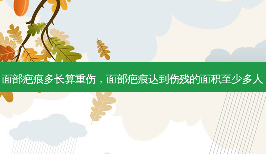 面部疤痕多长算重伤,面部疤痕达到伤残的面积至少多大-第1张图片-容颜志 - 专注变美资讯 面部疤痕多长算重伤,面部疤痕达到伤残的面积至少多大-第1张图片-容颜志 - 专注变美资讯