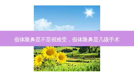 假体隆鼻是不是很难受,假体隆鼻是几级手术-第1张图片-容颜志 - 专注变美资讯 假体隆鼻是不是很难受,假体隆鼻是几级手术-第1张图片-容颜志 - 专注变美资讯