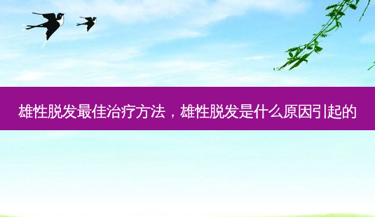 雄性脱发 *** 治疗 *** ,雄性脱发是什么原因引起的-第1张图片-容颜志 - 专注变美资讯 雄性脱发 *** 治疗 *** ,雄性脱发是什么原因引起的-第1张图片-容颜志 - 专注变美资讯