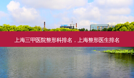上海三甲医院整形科排名，上海整形医生排名-第1张图片-容颜志 - 专注变美资讯