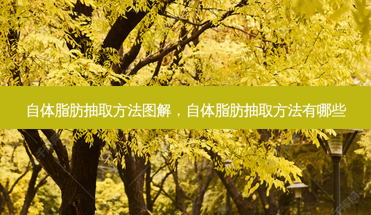 自体脂肪抽取 *** 图解,自体脂肪抽取 *** 有哪些-第1张图片-容颜志 - 专注变美资讯 自体脂肪抽取 *** 图解,自体脂肪抽取 *** 有哪些-第1张图片-容颜志 - 专注变美资讯